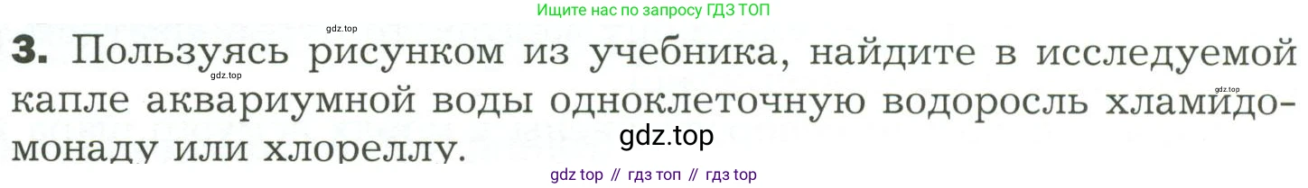 ГДЗ Биология, 7 класс Учебник, авторы: Пономарева Ирма Николаевна, Корнилова Ольга Анатольевна, издательство Просвещение, Москва, 2023, зелёного цвета, страница 18, номер 3, Условие