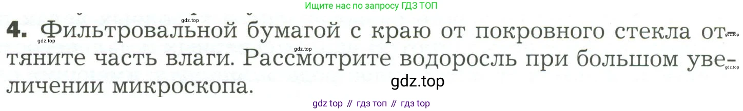 ГДЗ Биология, 7 класс Учебник, авторы: Пономарева Ирма Николаевна, Корнилова Ольга Анатольевна, издательство Просвещение, Москва, 2023, зелёного цвета, страница 18, номер 4, Условие