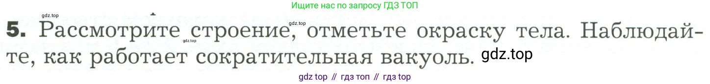 ГДЗ Биология, 7 класс Учебник, авторы: Пономарева Ирма Николаевна, Корнилова Ольга Анатольевна, издательство Просвещение, Москва, 2023, зелёного цвета, страница 18, номер 5, Условие