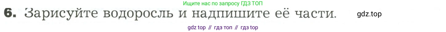 ГДЗ Биология, 7 класс Учебник, авторы: Пономарева Ирма Николаевна, Корнилова Ольга Анатольевна, издательство Просвещение, Москва, 2023, зелёного цвета, страница 18, номер 6, Условие