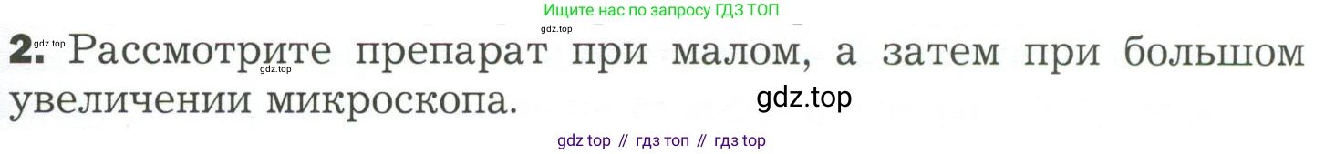 ГДЗ Биология, 7 класс Учебник, авторы: Пономарева Ирма Николаевна, Корнилова Ольга Анатольевна, издательство Просвещение, Москва, 2023, зелёного цвета, страница 163, Условие