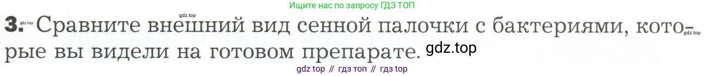 ГДЗ Биология, 7 класс Учебник, авторы: Пономарева Ирма Николаевна, Корнилова Ольга Анатольевна, издательство Просвещение, Москва, 2023, зелёного цвета, страница 163, Условие