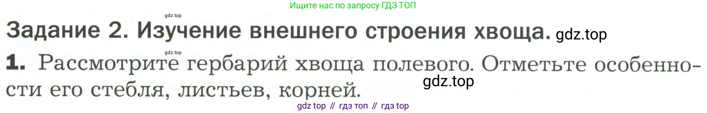 ГДЗ Биология, 7 класс Учебник, авторы: Пономарева Ирма Николаевна, Корнилова Ольга Анатольевна, издательство Просвещение, Москва, 2023, зелёного цвета, страница 37, Условие
