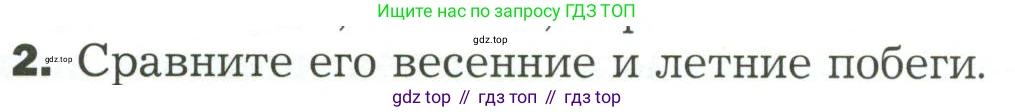 ГДЗ Биология, 7 класс Учебник, авторы: Пономарева Ирма Николаевна, Корнилова Ольга Анатольевна, издательство Просвещение, Москва, 2023, зелёного цвета, страница 37, Условие