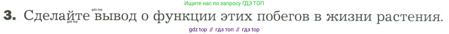 ГДЗ Биология, 7 класс Учебник, авторы: Пономарева Ирма Николаевна, Корнилова Ольга Анатольевна, издательство Просвещение, Москва, 2023, зелёного цвета, страница 37, Условие