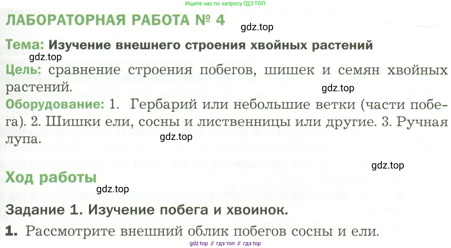ГДЗ Биология, 7 класс Учебник, авторы: Пономарева Ирма Николаевна, Корнилова Ольга Анатольевна, издательство Просвещение, Москва, 2023, зелёного цвета, страница 51, Условие