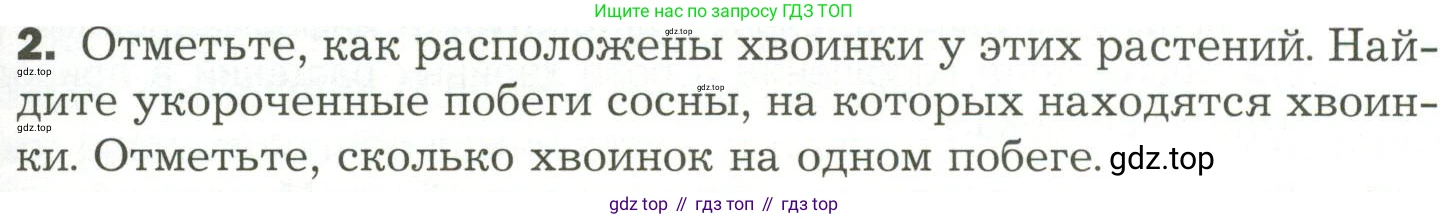 ГДЗ Биология, 7 класс Учебник, авторы: Пономарева Ирма Николаевна, Корнилова Ольга Анатольевна, издательство Просвещение, Москва, 2023, зелёного цвета, страница 51, Условие