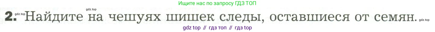 ГДЗ Биология, 7 класс Учебник, авторы: Пономарева Ирма Николаевна, Корнилова Ольга Анатольевна, издательство Просвещение, Москва, 2023, зелёного цвета, страница 51, Условие