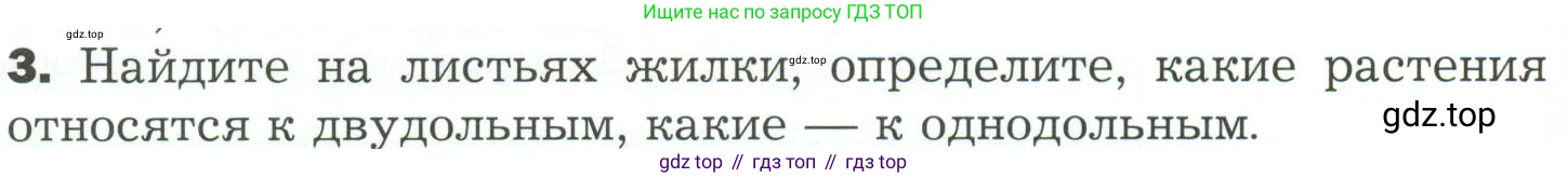 ГДЗ Биология, 7 класс Учебник, авторы: Пономарева Ирма Николаевна, Корнилова Ольга Анатольевна, издательство Просвещение, Москва, 2023, зелёного цвета, страница 60, номер 3, Условие