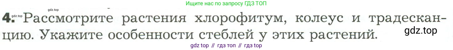 ГДЗ Биология, 7 класс Учебник, авторы: Пономарева Ирма Николаевна, Корнилова Ольга Анатольевна, издательство Просвещение, Москва, 2023, зелёного цвета, страница 60, номер 4, Условие
