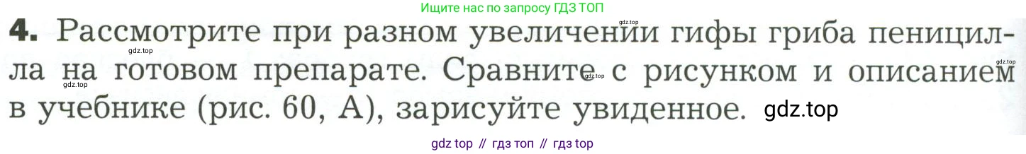 ГДЗ Биология, 7 класс Учебник, авторы: Пономарева Ирма Николаевна, Корнилова Ольга Анатольевна, издательство Просвещение, Москва, 2023, зелёного цвета, страница 148, номер 4, Условие