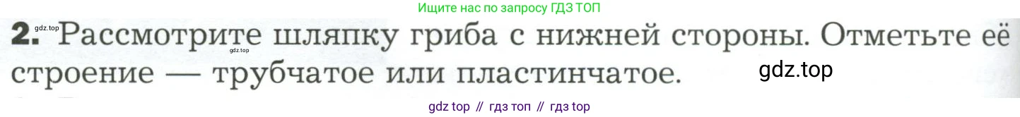 ГДЗ Биология, 7 класс Учебник, авторы: Пономарева Ирма Николаевна, Корнилова Ольга Анатольевна, издательство Просвещение, Москва, 2023, зелёного цвета, страница 152, номер 2, Условие