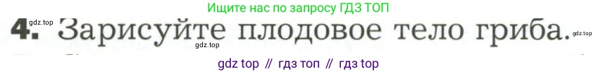ГДЗ Биология, 7 класс Учебник, авторы: Пономарева Ирма Николаевна, Корнилова Ольга Анатольевна, издательство Просвещение, Москва, 2023, зелёного цвета, страница 152, номер 4, Условие