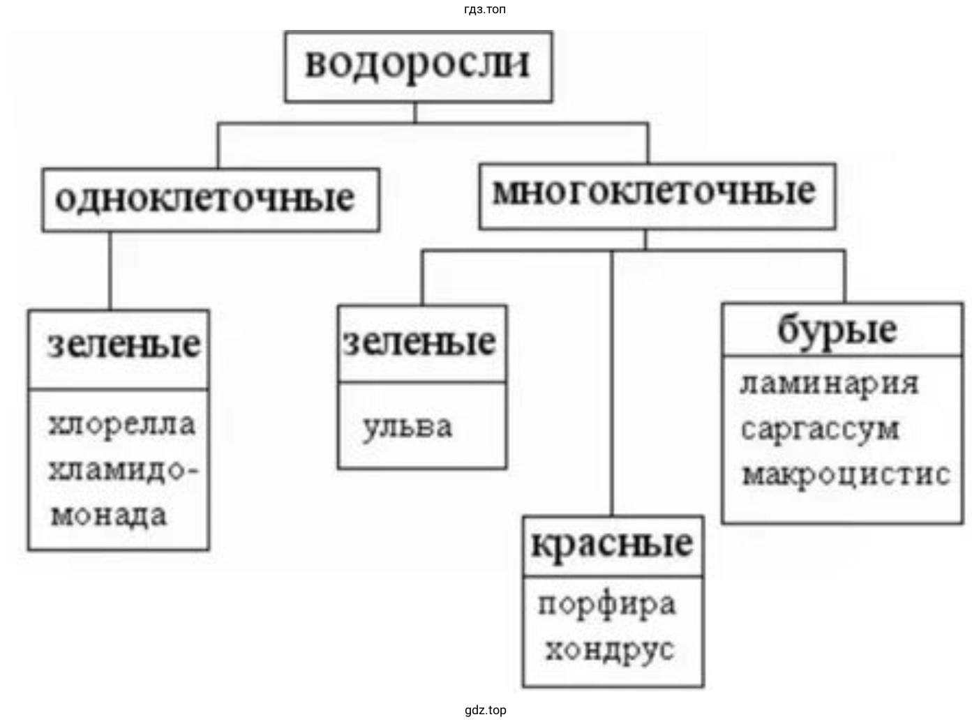 Выразить основную информацию параграфа в виде краткой записи или схемы