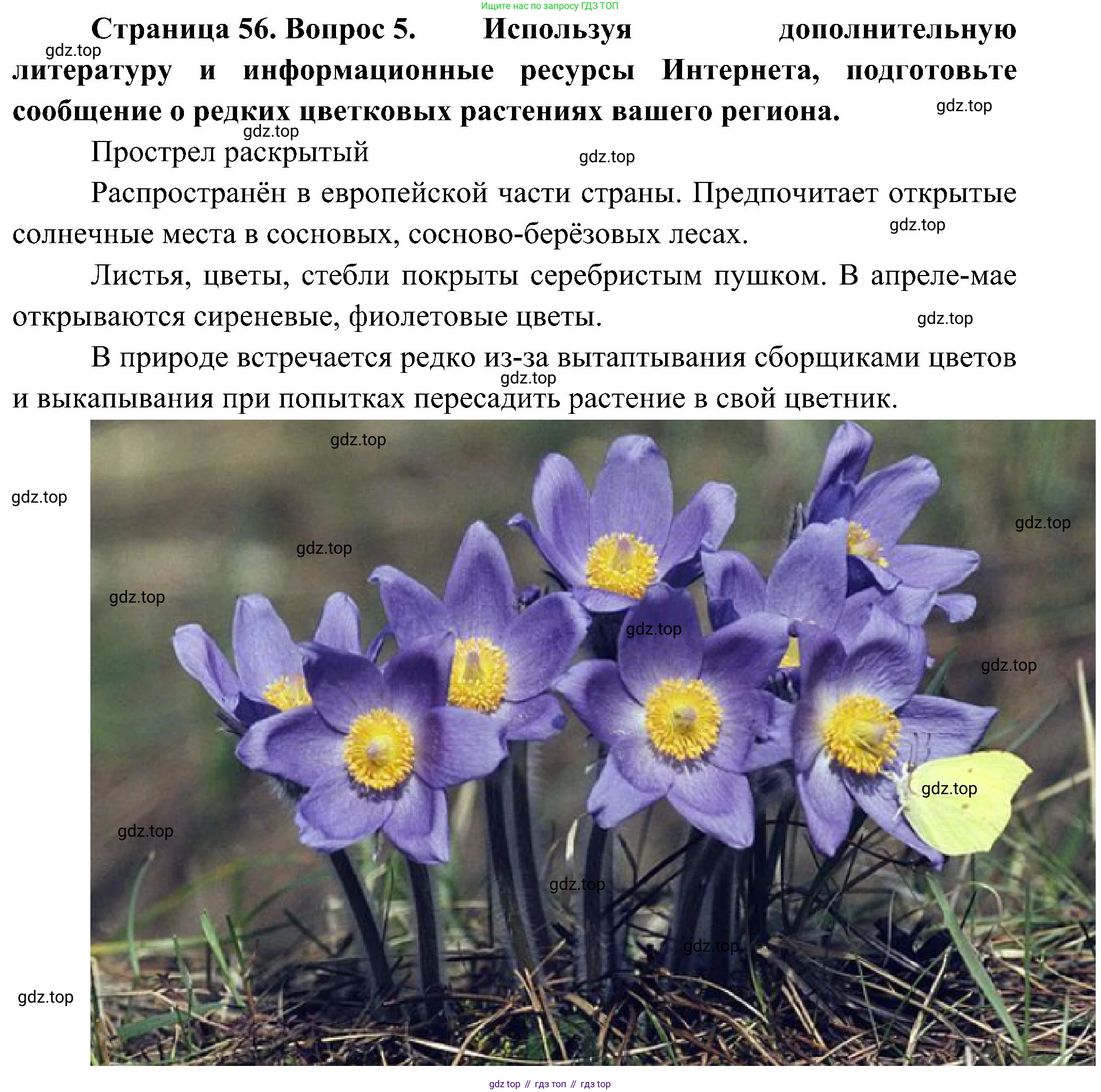 ГДЗ Биология, 7 класс Учебник, авторы: Пономарева Ирма Николаевна, Корнилова Ольга Анатольевна, издательство Просвещение, Москва, 2023, зелёного цвета, страница 56, номер 5, Решение