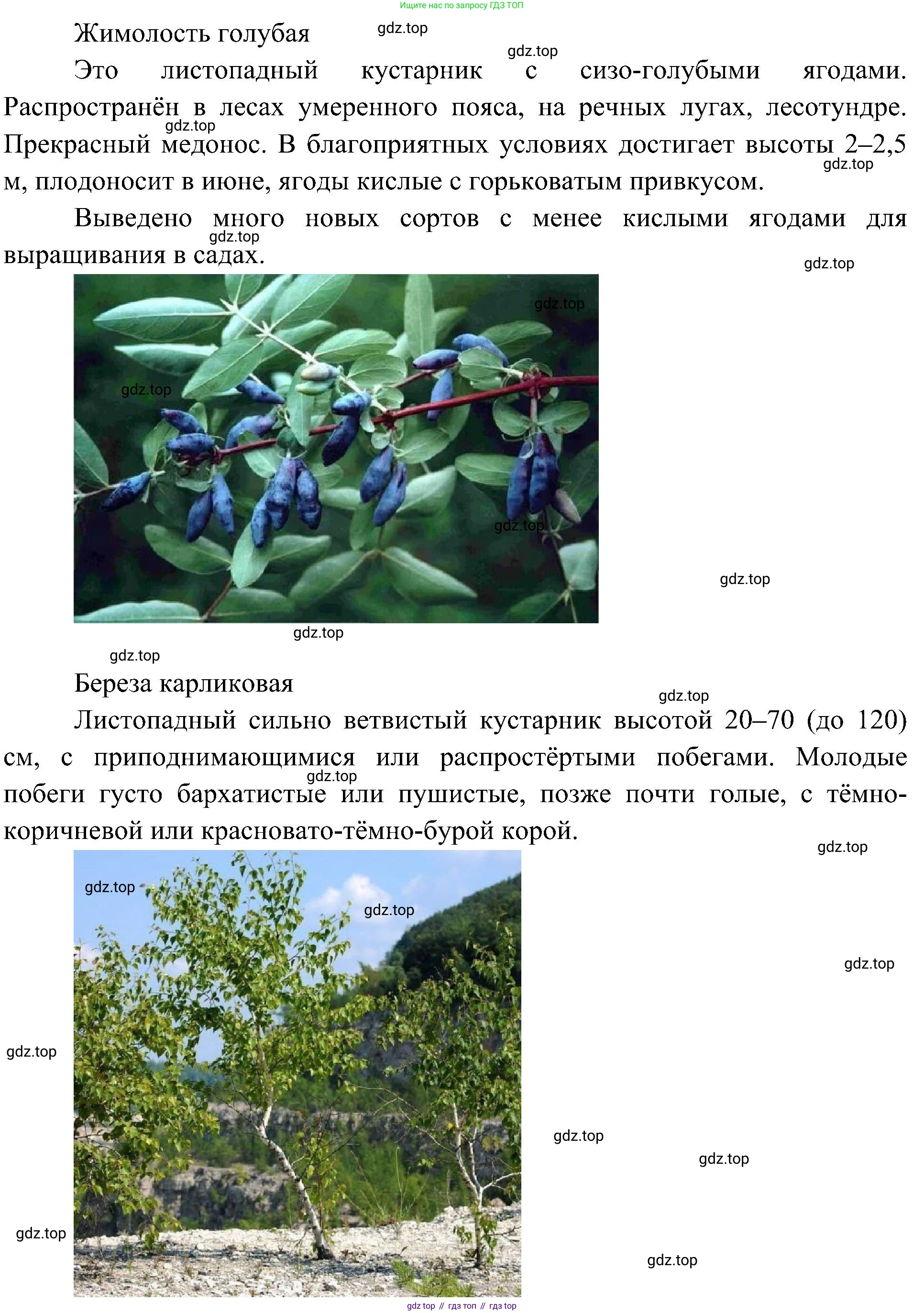 ГДЗ Биология, 7 класс Учебник, авторы: Пономарева Ирма Николаевна, Корнилова Ольга Анатольевна, издательство Просвещение, Москва, 2023, зелёного цвета, страница 56, номер 5, Решение (продолжение 2)
