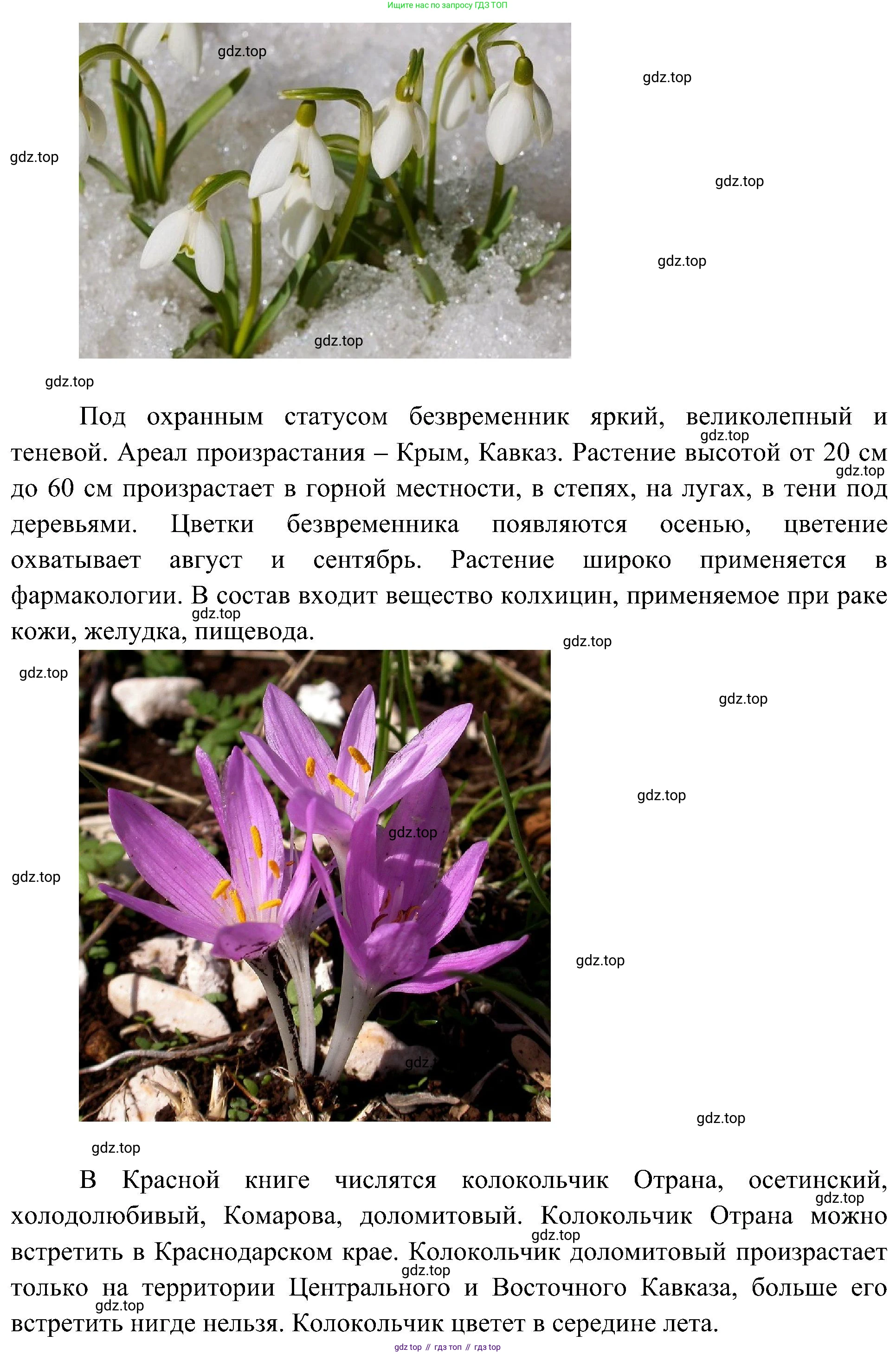 ГДЗ Биология, 7 класс Учебник, авторы: Пономарева Ирма Николаевна, Корнилова Ольга Анатольевна, издательство Просвещение, Москва, 2023, зелёного цвета, страница 60, номер 5, Решение (продолжение 2)