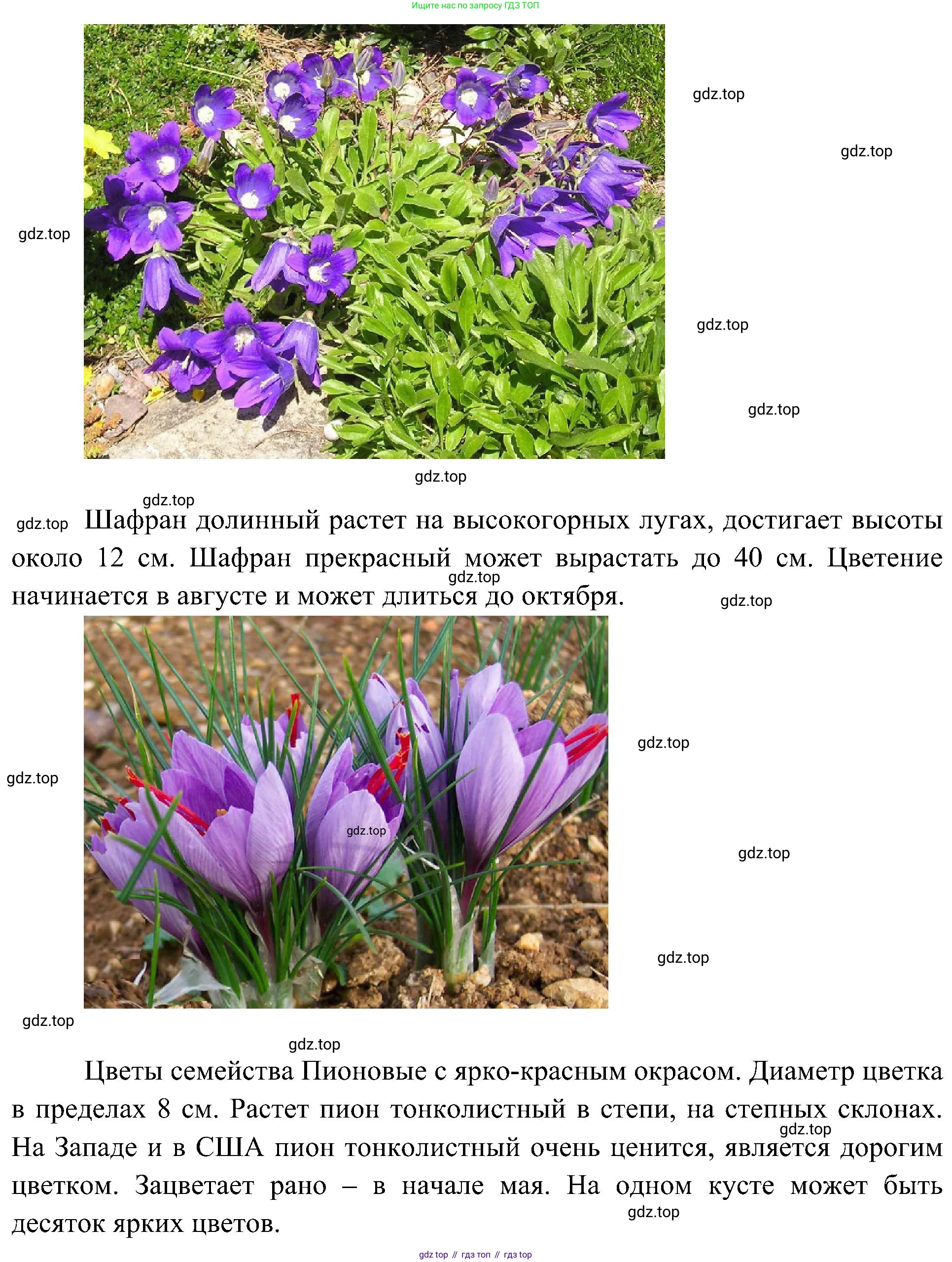ГДЗ Биология, 7 класс Учебник, авторы: Пономарева Ирма Николаевна, Корнилова Ольга Анатольевна, издательство Просвещение, Москва, 2023, зелёного цвета, страница 60, номер 5, Решение (продолжение 3)