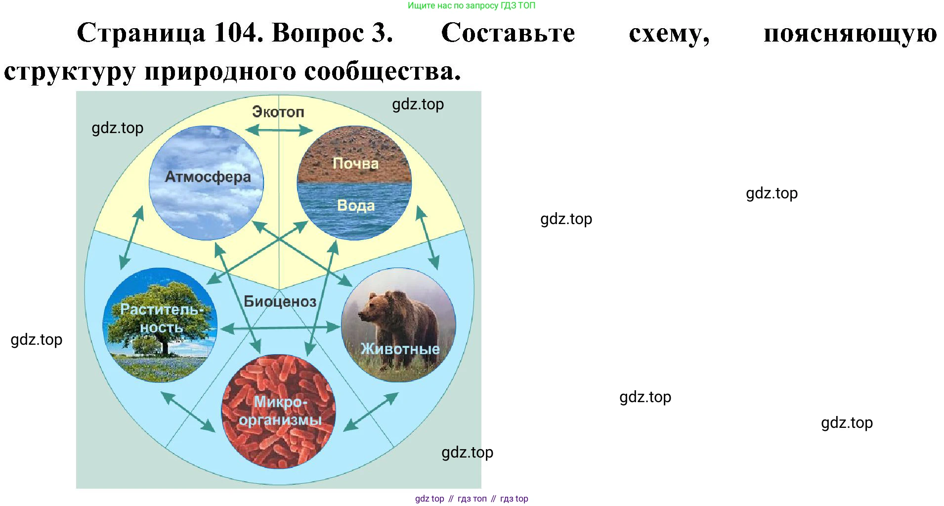ГДЗ Биология, 7 класс Учебник, авторы: Пономарева Ирма Николаевна, Корнилова Ольга Анатольевна, издательство Просвещение, Москва, 2023, зелёного цвета, страница 104, номер 3, Решение