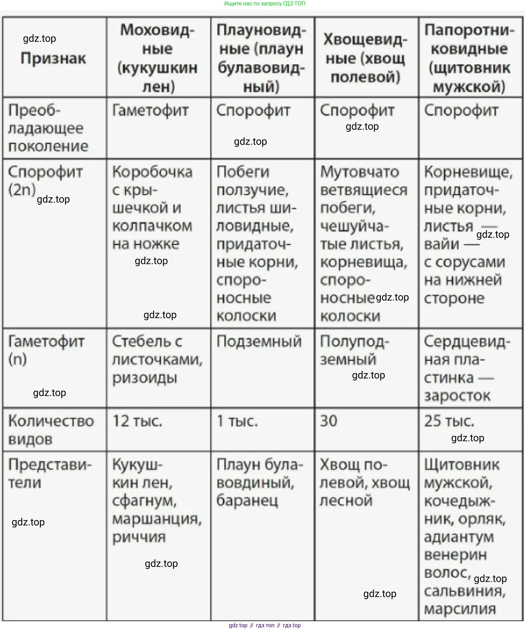 ГДЗ Биология, 7 класс Учебник, авторы: Пономарева Ирма Николаевна, Корнилова Ольга Анатольевна, издательство Просвещение, Москва, 2023, зелёного цвета, страница 42, Решение (продолжение 2)