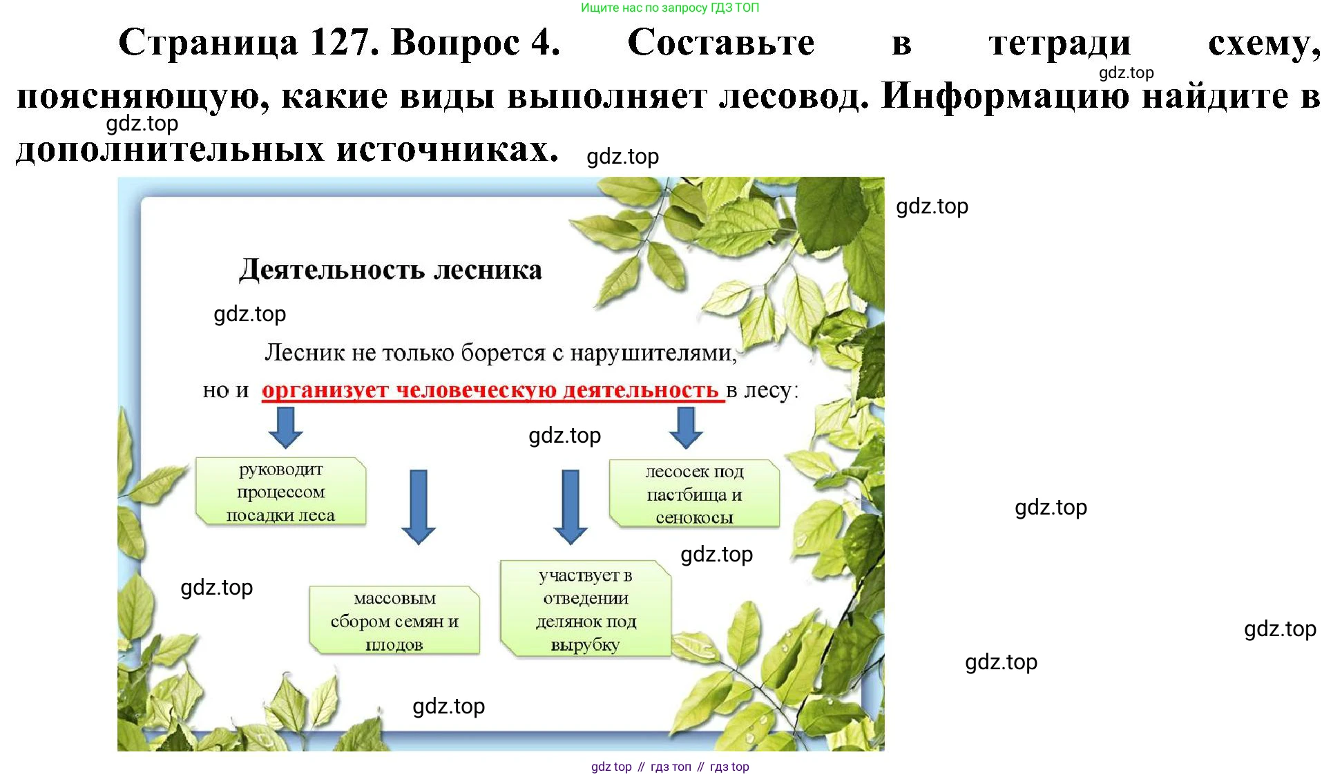 ГДЗ Биология, 7 класс Учебник, авторы: Пономарева Ирма Николаевна, Корнилова Ольга Анатольевна, издательство Просвещение, Москва, 2023, зелёного цвета, страница 127, номер 4, Решение