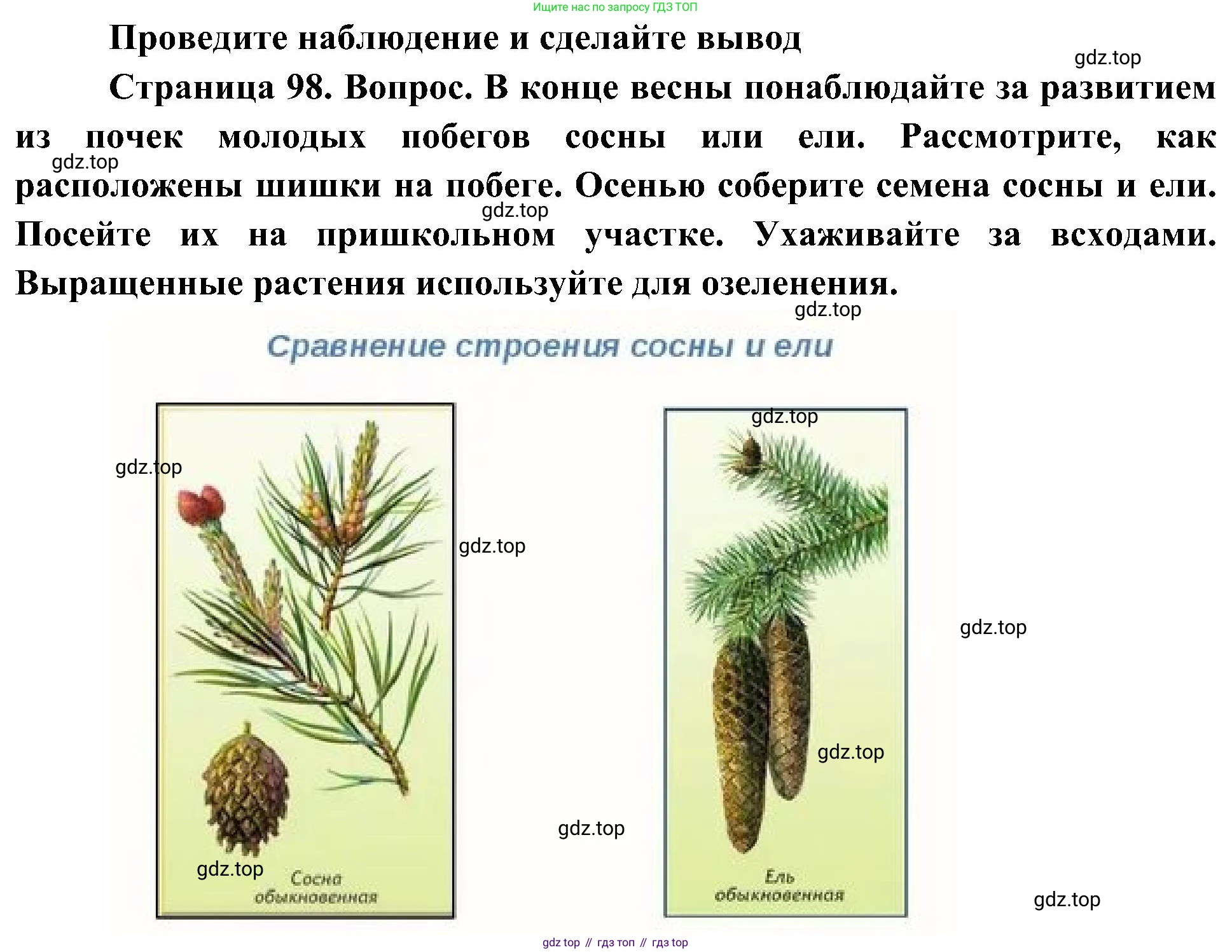 ГДЗ Биология, 7 класс Учебник, авторы: Пономарева Ирма Николаевна, Корнилова Ольга Анатольевна, издательство Просвещение, Москва, 2023, зелёного цвета, страница 98, номер 1, Решение