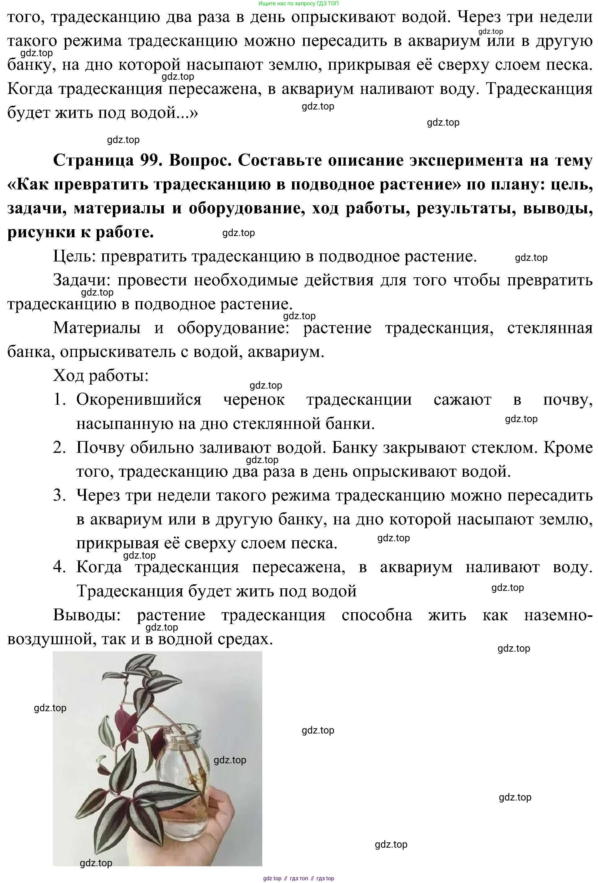 ГДЗ Биология, 7 класс Учебник, авторы: Пономарева Ирма Николаевна, Корнилова Ольга Анатольевна, издательство Просвещение, Москва, 2023, зелёного цвета, страница 99, номер 2, Решение (продолжение 2)