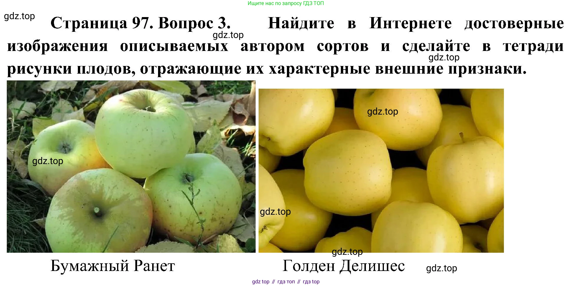 ГДЗ Биология, 7 класс Учебник, авторы: Пономарева Ирма Николаевна, Корнилова Ольга Анатольевна, издательство Просвещение, Москва, 2023, зелёного цвета, страница 97, номер 3, Решение