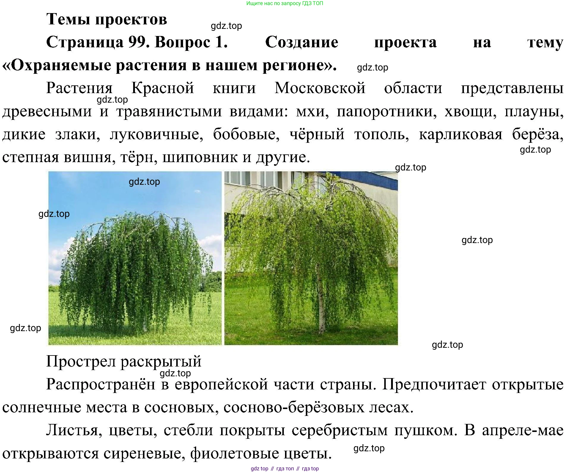 ГДЗ Биология, 7 класс Учебник, авторы: Пономарева Ирма Николаевна, Корнилова Ольга Анатольевна, издательство Просвещение, Москва, 2023, зелёного цвета, страница 99, номер 1, Решение