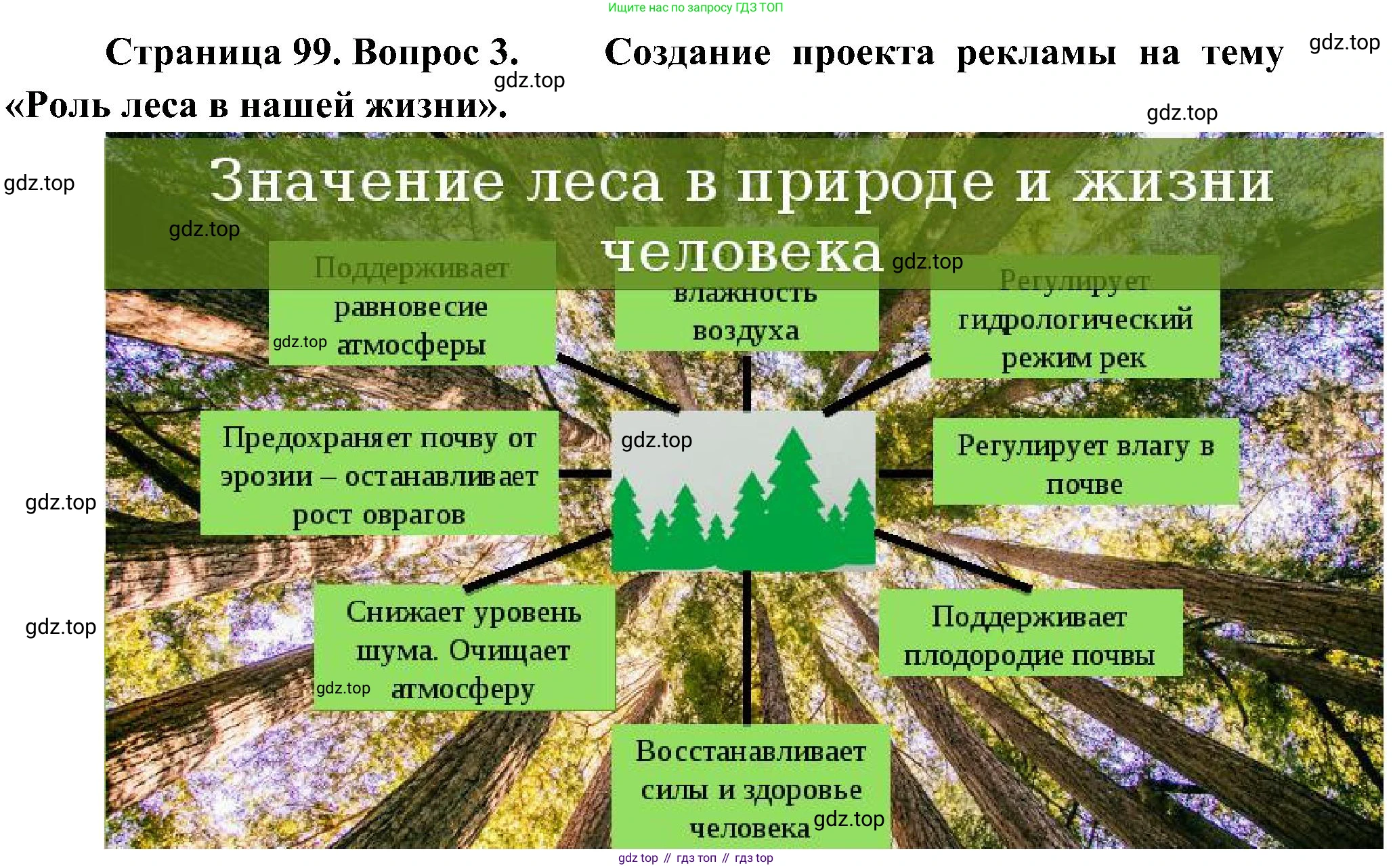 ГДЗ Биология, 7 класс Учебник, авторы: Пономарева Ирма Николаевна, Корнилова Ольга Анатольевна, издательство Просвещение, Москва, 2023, зелёного цвета, страница 99, номер 3, Решение