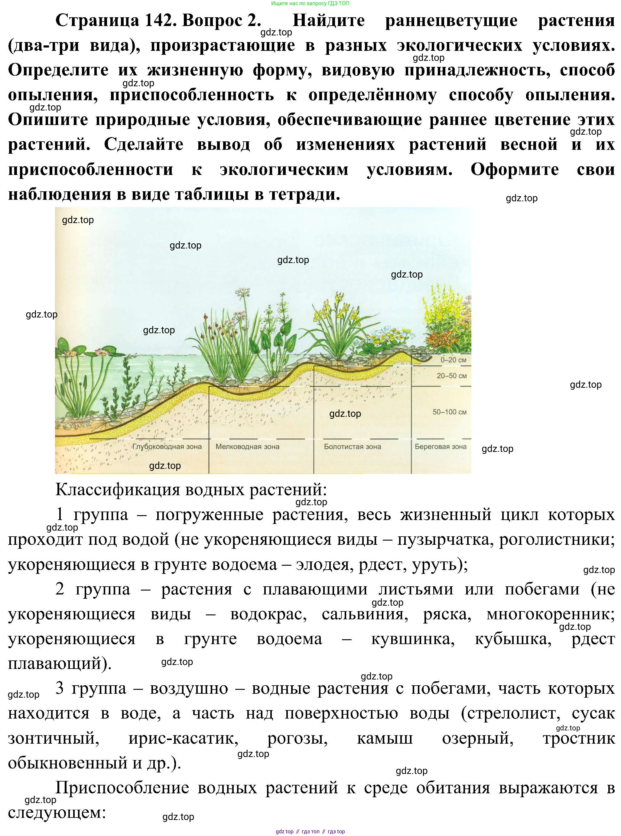 ГДЗ Биология, 7 класс Учебник, авторы: Пономарева Ирма Николаевна, Корнилова Ольга Анатольевна, издательство Просвещение, Москва, 2023, зелёного цвета, страница 142, номер 2, Решение