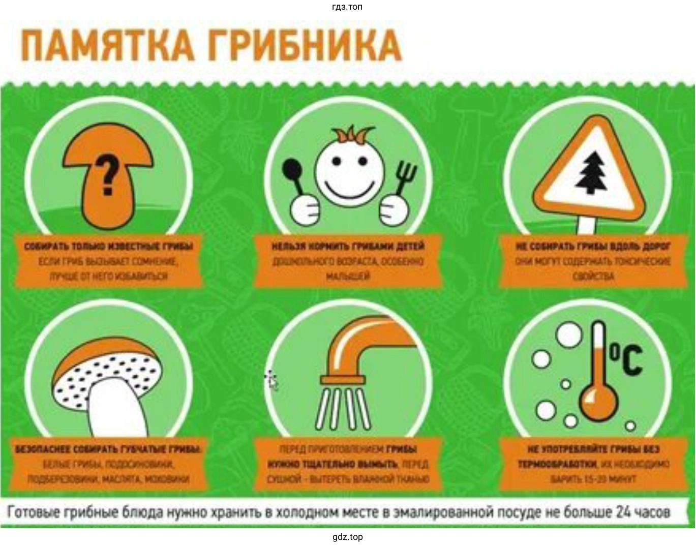 Плакат для грибников об опасности отравления ядовитыми грибами