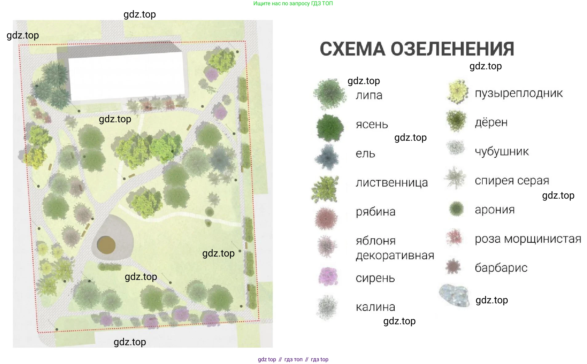 ГДЗ Биология, 7 класс Учебник, авторы: Пономарева Ирма Николаевна, Корнилова Ольга Анатольевна, издательство Просвещение, Москва, 2023, зелёного цвета, страница 142, номер 2, Решение (продолжение 2)
