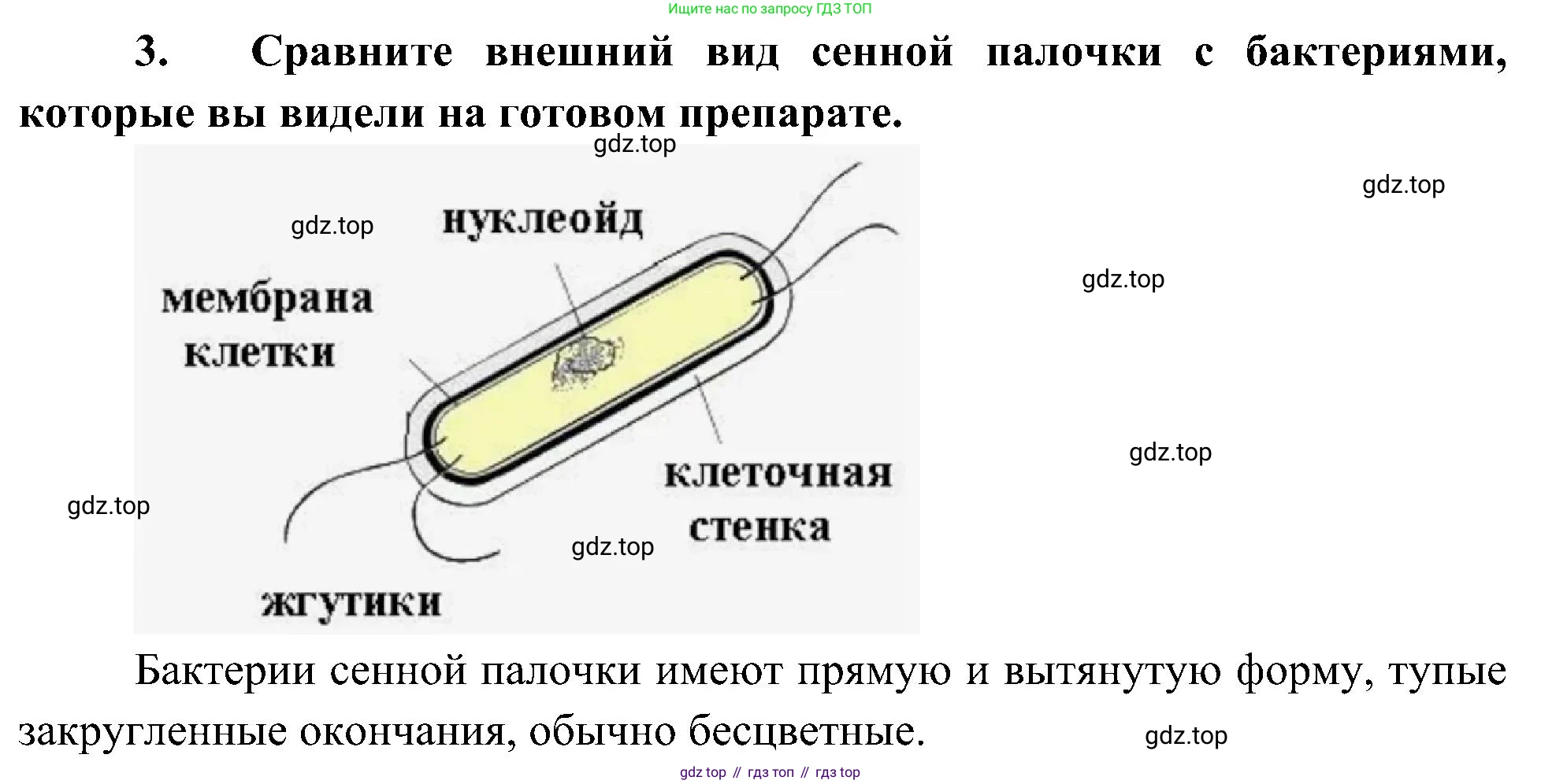 ГДЗ Биология, 7 класс Учебник, авторы: Пономарева Ирма Николаевна, Корнилова Ольга Анатольевна, издательство Просвещение, Москва, 2023, зелёного цвета, страница 163, Решение