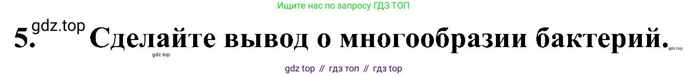 ГДЗ Биология, 7 класс Учебник, авторы: Пономарева Ирма Николаевна, Корнилова Ольга Анатольевна, издательство Просвещение, Москва, 2023, зелёного цвета, страница 163, Решение