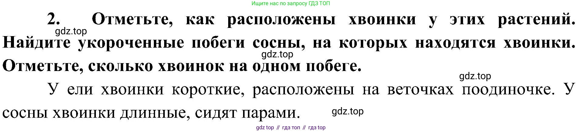 ГДЗ Биология, 7 класс Учебник, авторы: Пономарева Ирма Николаевна, Корнилова Ольга Анатольевна, издательство Просвещение, Москва, 2023, зелёного цвета, страница 51, Решение
