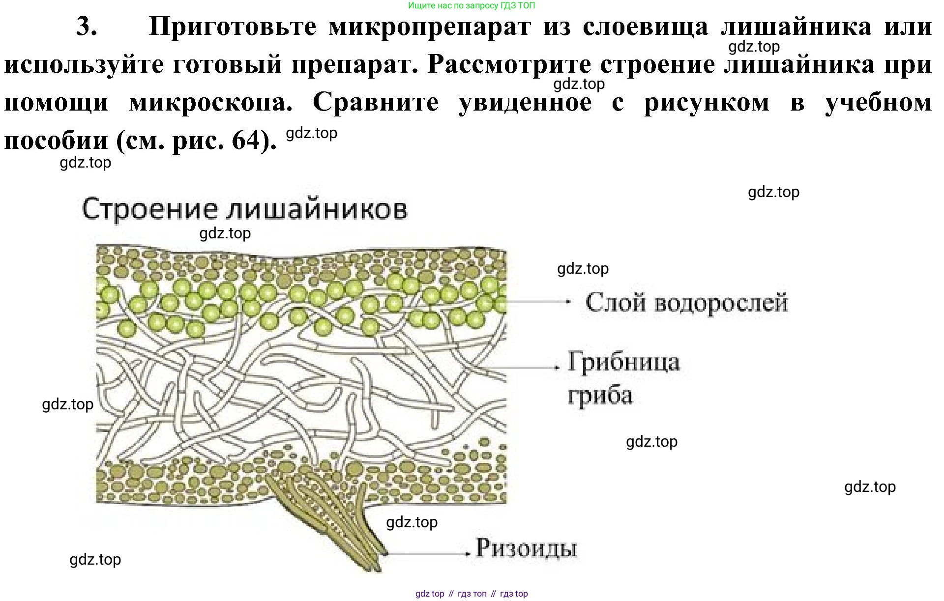 ГДЗ Биология, 7 класс Учебник, авторы: Пономарева Ирма Николаевна, Корнилова Ольга Анатольевна, издательство Просвещение, Москва, 2023, зелёного цвета, страница 158, номер 3, Решение