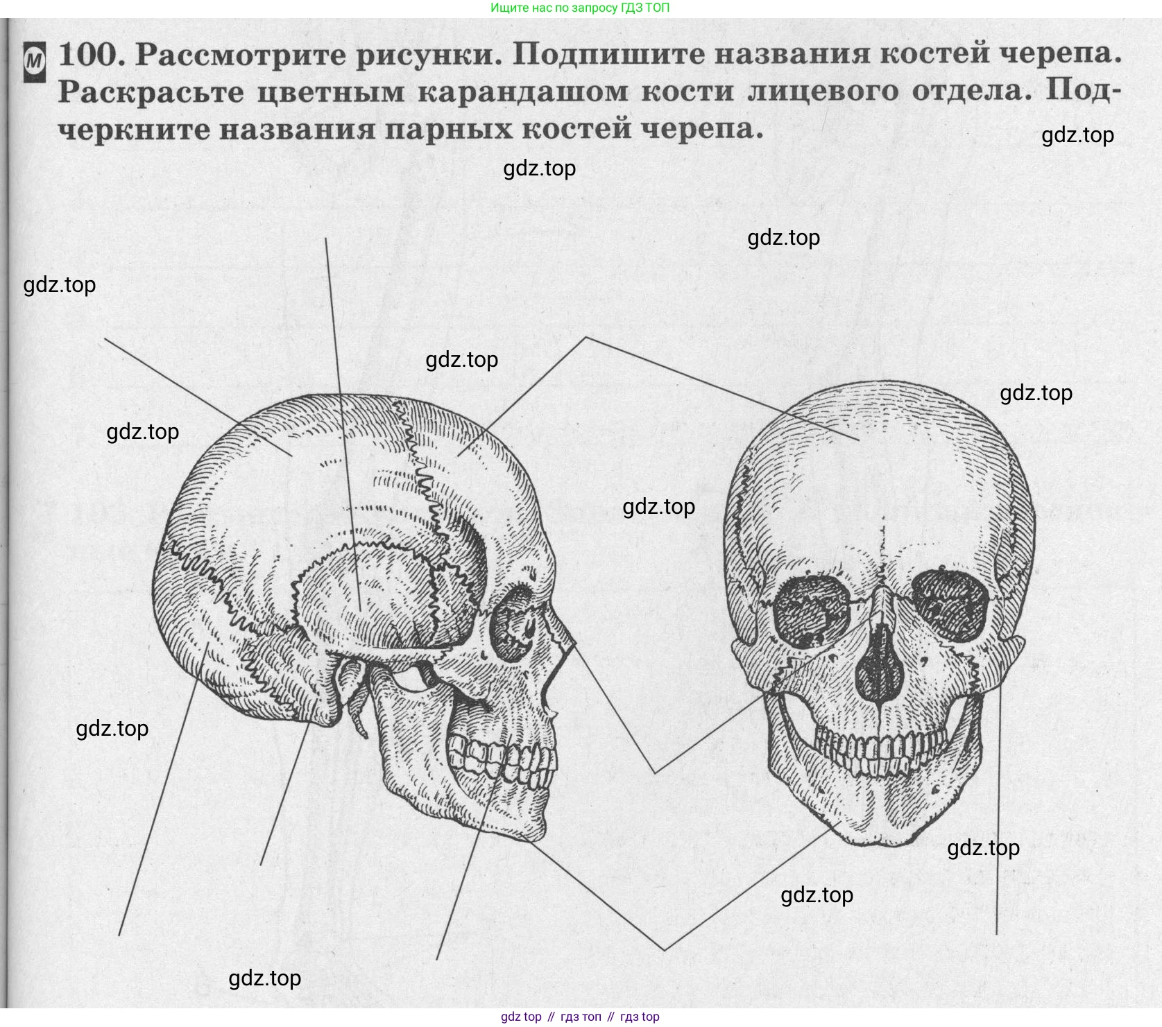 ГДЗ Биология, 8 класс рабочая тетрадь, авторы: Сонин Николай Иванович, Агафонова Инна Борисовна, издательство Просвещение, Москва, 2021, белого цвета, страница 65, номер 100, Условие