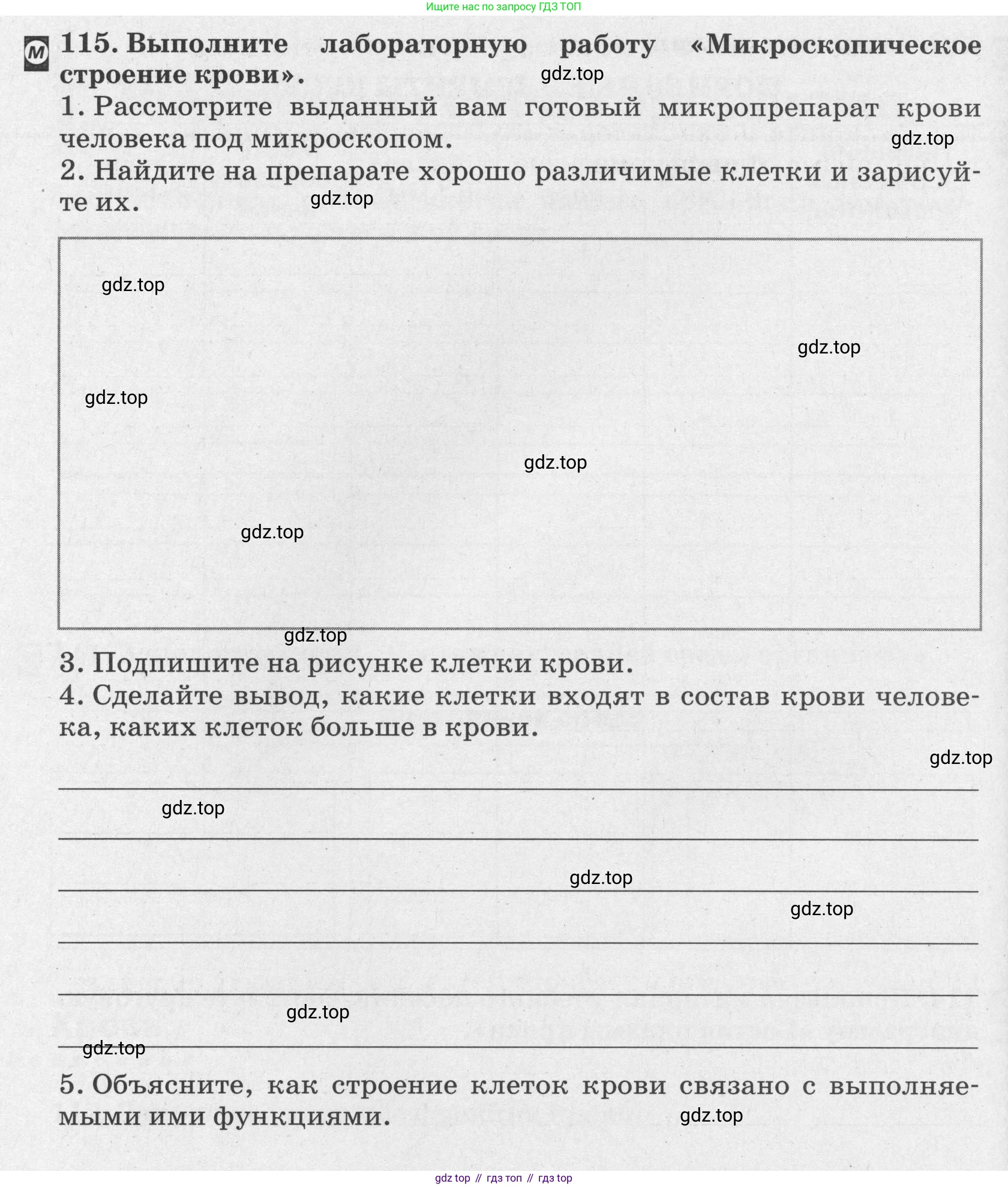 ГДЗ Биология, 8 класс рабочая тетрадь, авторы: Сонин Николай Иванович, Агафонова Инна Борисовна, издательство Просвещение, Москва, 2021, белого цвета, страница 76, номер 115, Условие