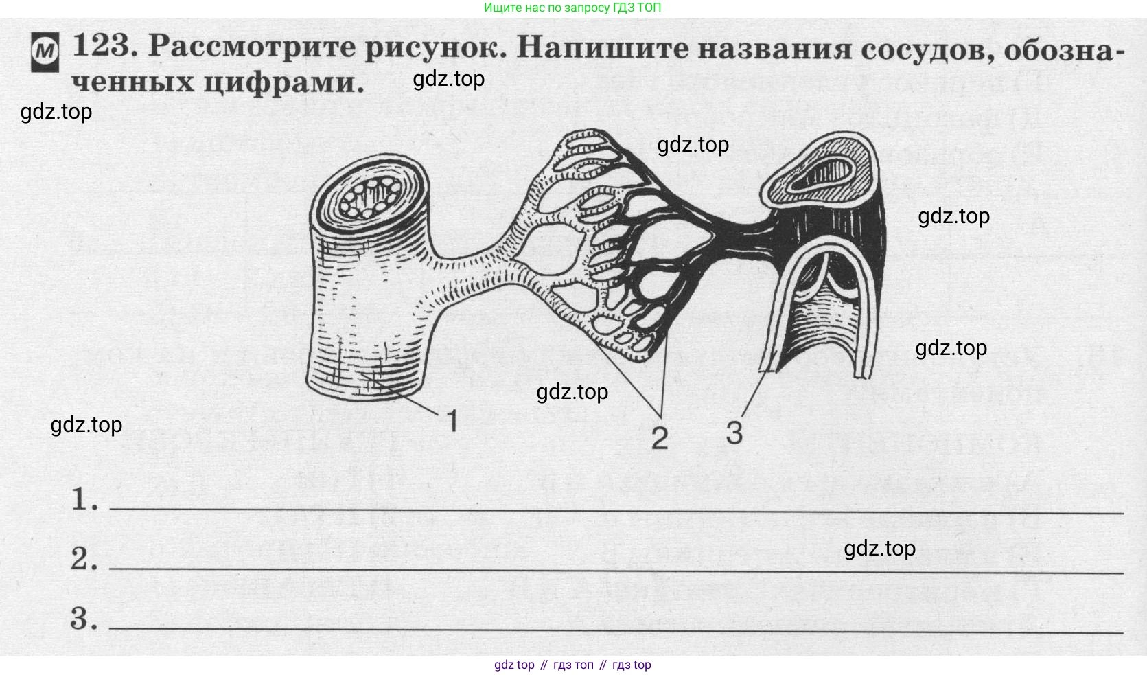 ГДЗ Биология, 8 класс рабочая тетрадь, авторы: Сонин Николай Иванович, Агафонова Инна Борисовна, издательство Просвещение, Москва, 2021, белого цвета, страница 82, номер 123, Условие
