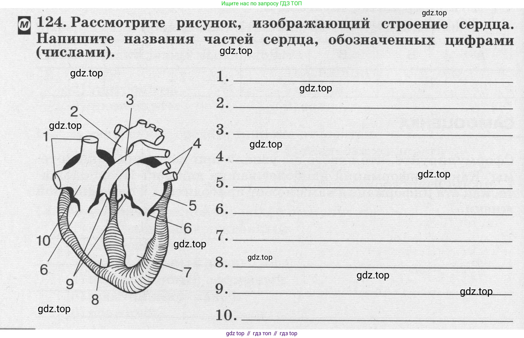ГДЗ Биология, 8 класс рабочая тетрадь, авторы: Сонин Николай Иванович, Агафонова Инна Борисовна, издательство Просвещение, Москва, 2021, белого цвета, страница 82, номер 124, Условие