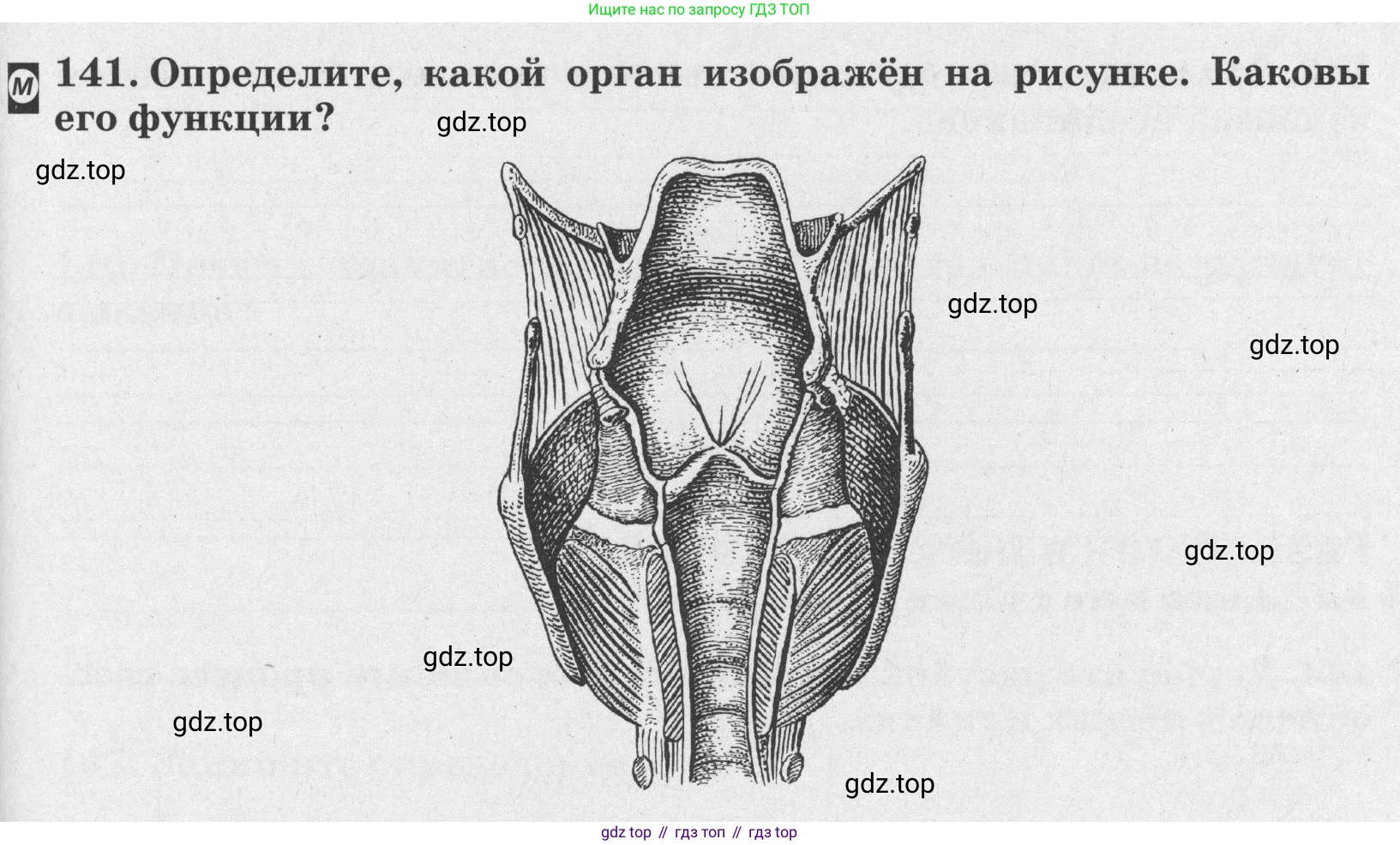 ГДЗ Биология, 8 класс рабочая тетрадь, авторы: Сонин Николай Иванович, Агафонова Инна Борисовна, издательство Просвещение, Москва, 2021, белого цвета, страница 93, номер 141, Условие