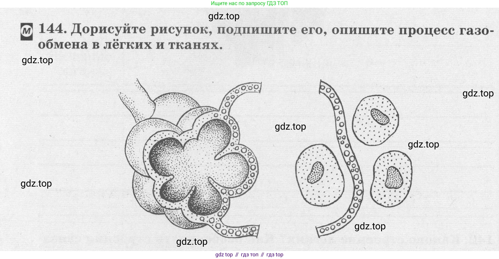 ГДЗ Биология, 8 класс рабочая тетрадь, авторы: Сонин Николай Иванович, Агафонова Инна Борисовна, издательство Просвещение, Москва, 2021, белого цвета, страница 94, номер 144, Условие