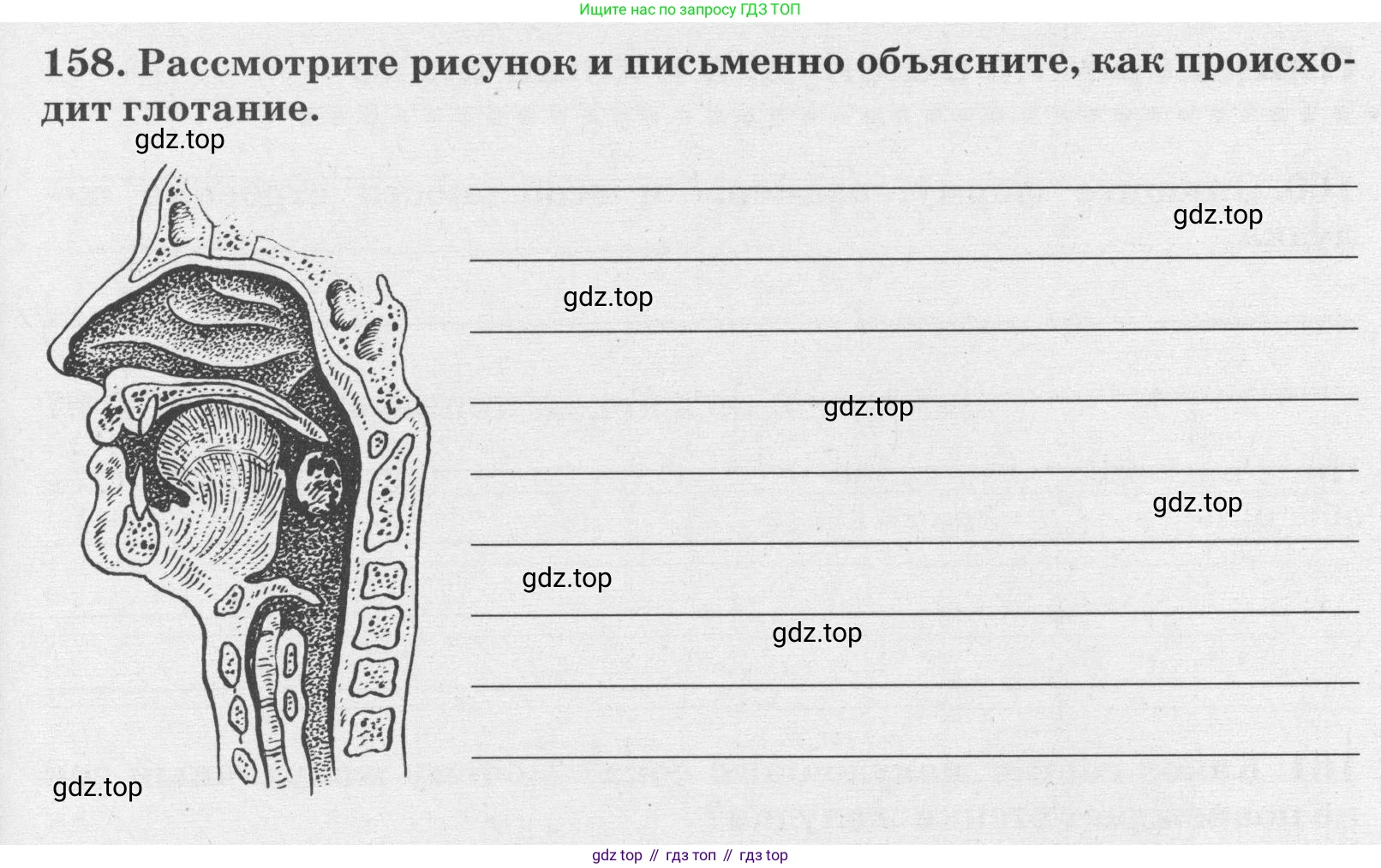 ГДЗ Биология, 8 класс рабочая тетрадь, авторы: Сонин Николай Иванович, Агафонова Инна Борисовна, издательство Просвещение, Москва, 2021, белого цвета, страница 103, номер 158, Условие