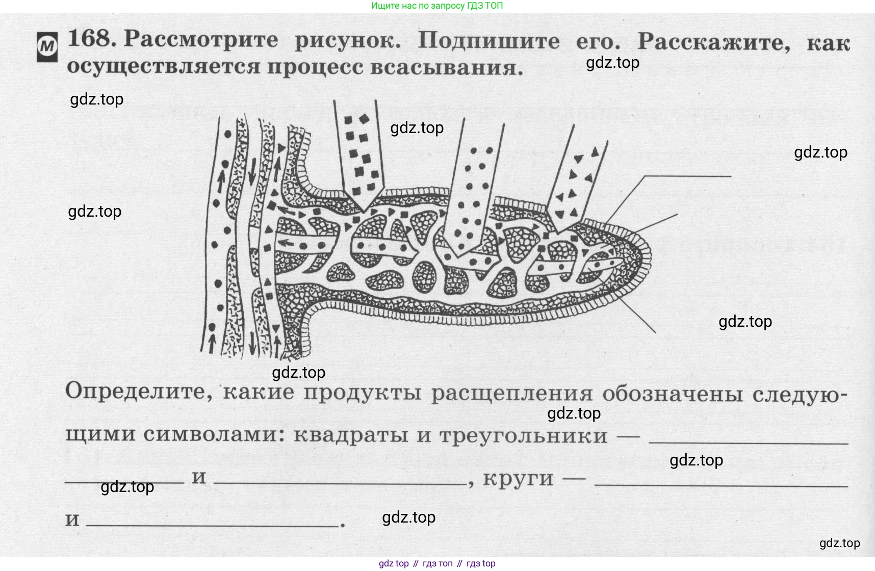 ГДЗ Биология, 8 класс рабочая тетрадь, авторы: Сонин Николай Иванович, Агафонова Инна Борисовна, издательство Просвещение, Москва, 2021, белого цвета, страница 106, номер 168, Условие
