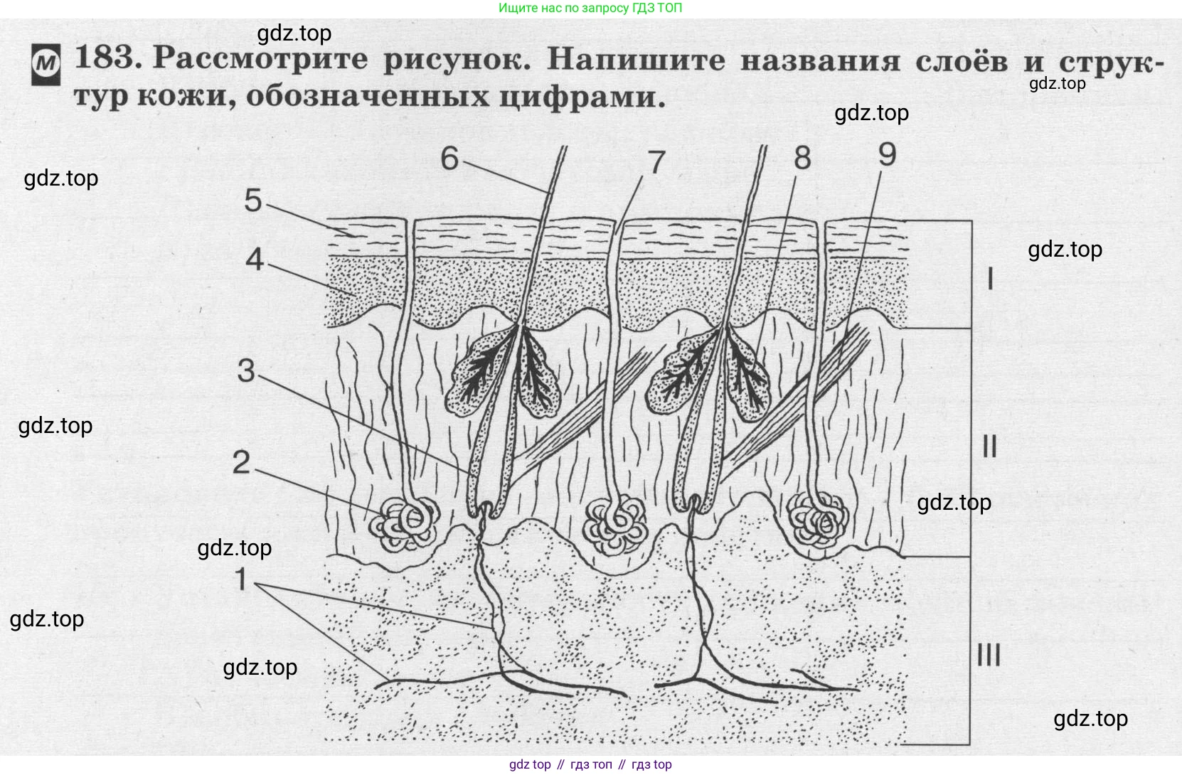 ГДЗ Биология, 8 класс рабочая тетрадь, авторы: Сонин Николай Иванович, Агафонова Инна Борисовна, издательство Просвещение, Москва, 2021, белого цвета, страница 122, номер 183, Условие