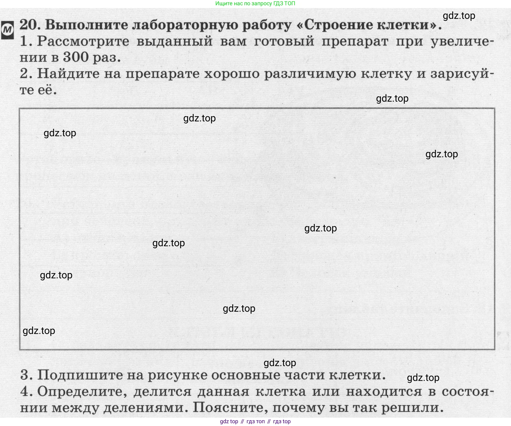 ГДЗ Биология, 8 класс рабочая тетрадь, авторы: Сонин Николай Иванович, Агафонова Инна Борисовна, издательство Просвещение, Москва, 2021, белого цвета, страница 18, номер 20, Условие