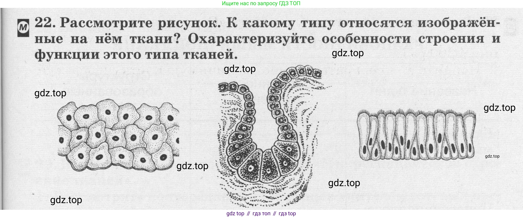 ГДЗ Биология, 8 класс рабочая тетрадь, авторы: Сонин Николай Иванович, Агафонова Инна Борисовна, издательство Просвещение, Москва, 2021, белого цвета, страница 19, номер 22, Условие