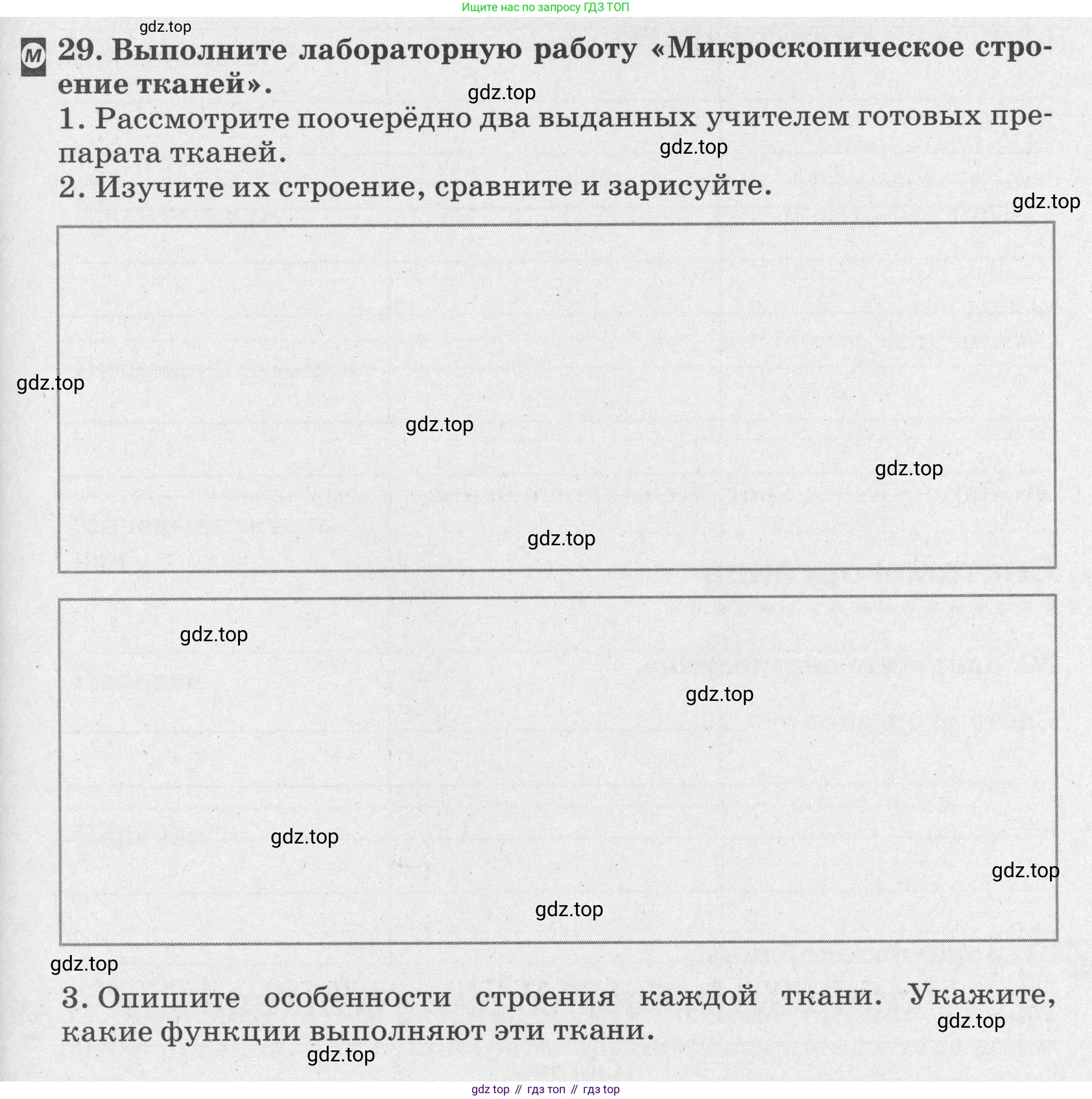 ГДЗ Биология, 8 класс рабочая тетрадь, авторы: Сонин Николай Иванович, Агафонова Инна Борисовна, издательство Просвещение, Москва, 2021, белого цвета, страница 21, номер 29, Условие