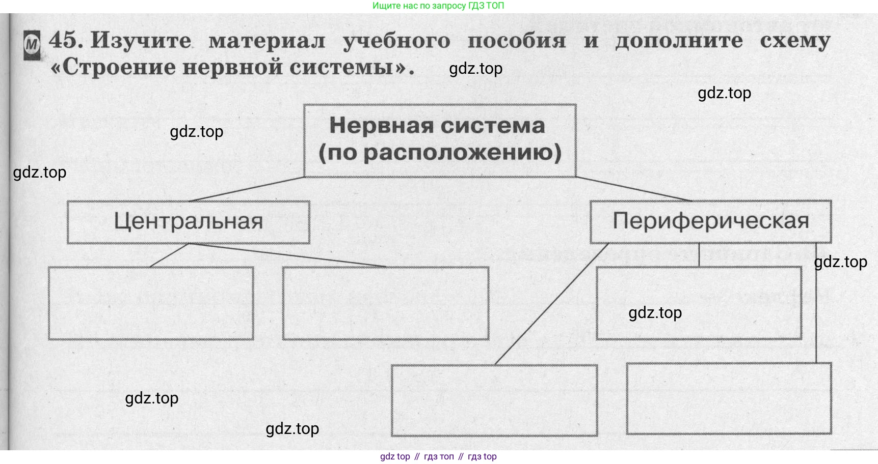 ГДЗ Биология, 8 класс рабочая тетрадь, авторы: Сонин Николай Иванович, Агафонова Инна Борисовна, издательство Просвещение, Москва, 2021, белого цвета, страница 33, номер 45, Условие